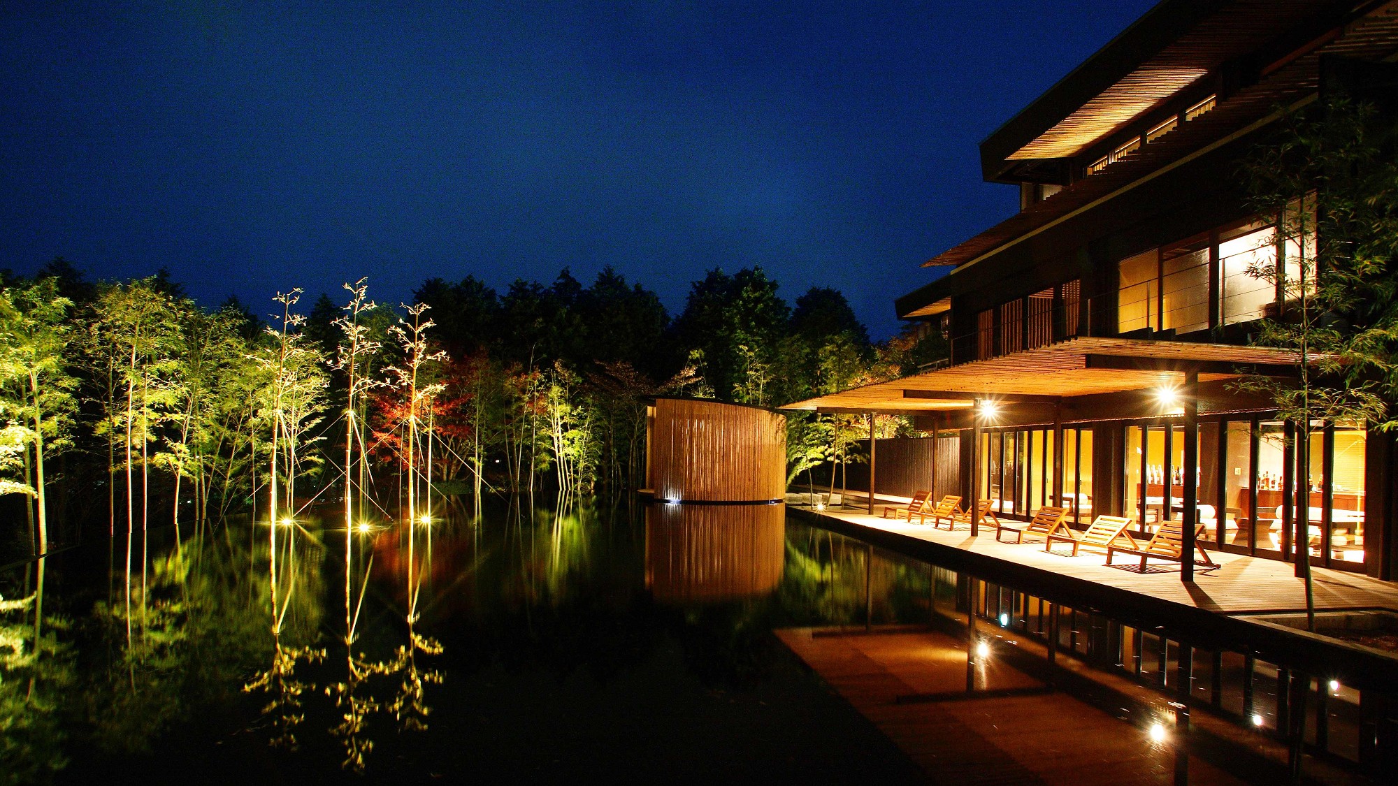 写真:金乃竹 仙石原