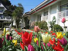 ペンション ストロベリー <淡路島> 施設全景