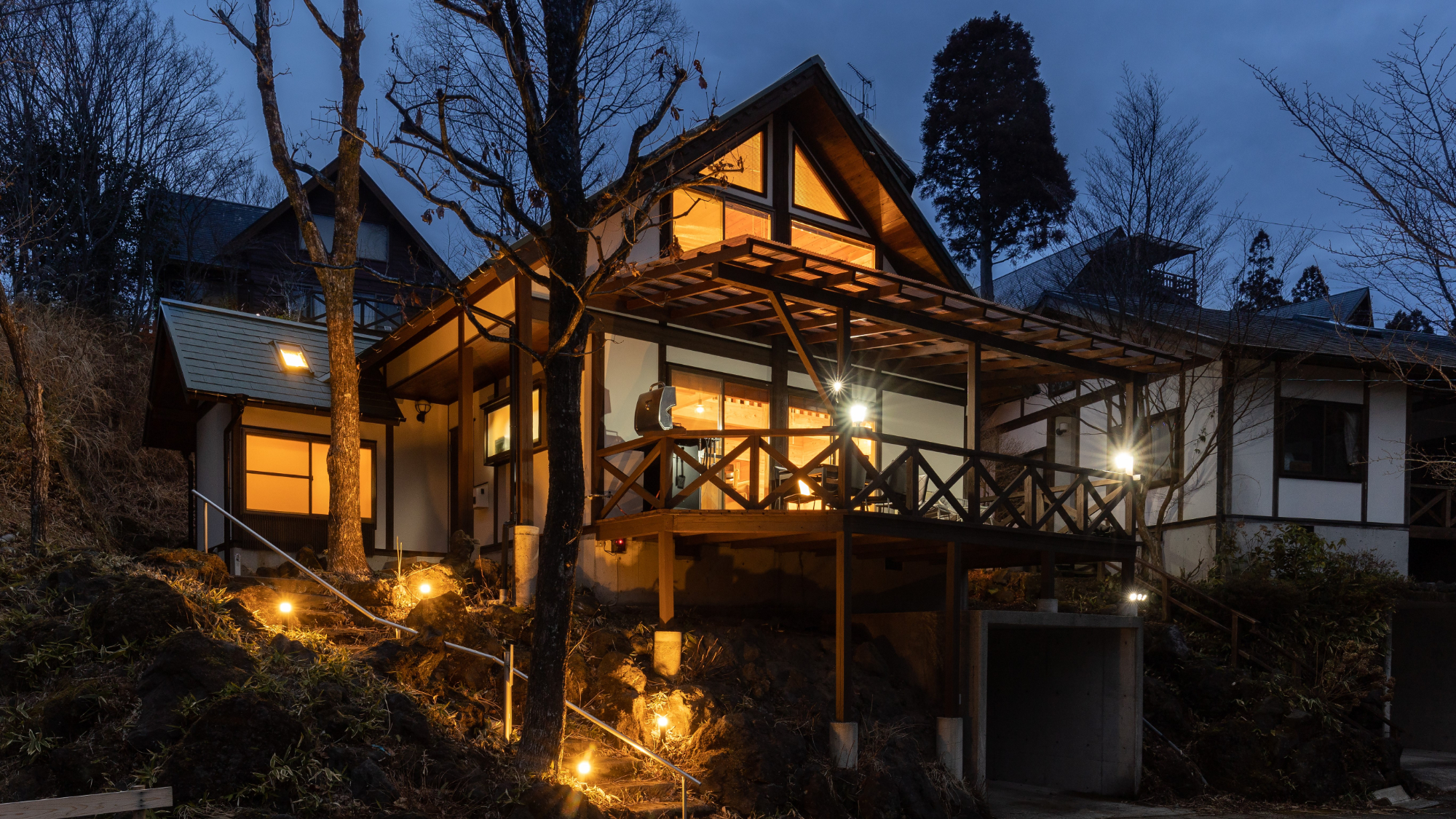 写真:黒川 森の樹木