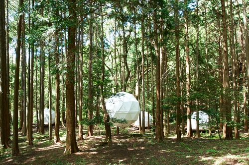 泊まれる公園 INN THE PARK 施設全景