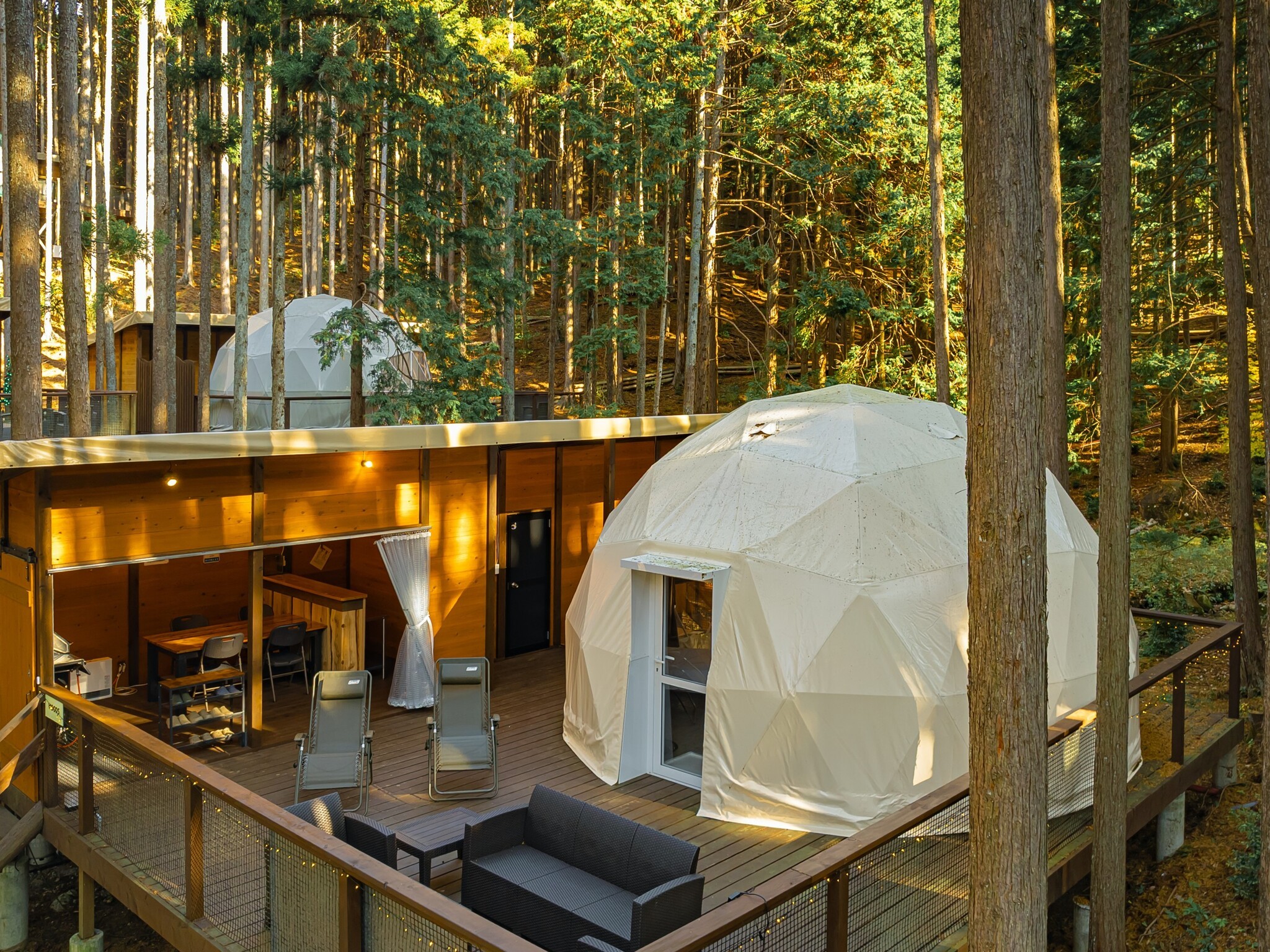 伊豆の国グランピングテラスエメラルドの森 施設全景