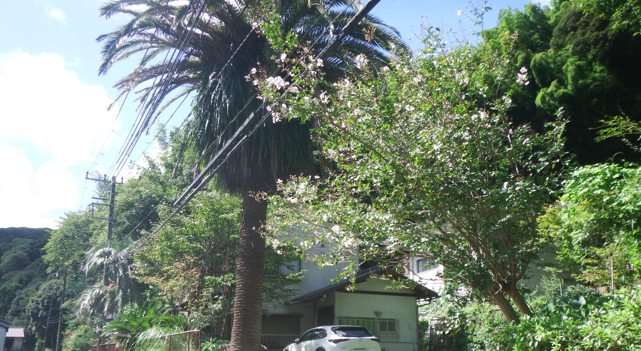 Guesthouse かじか苑 施設全景