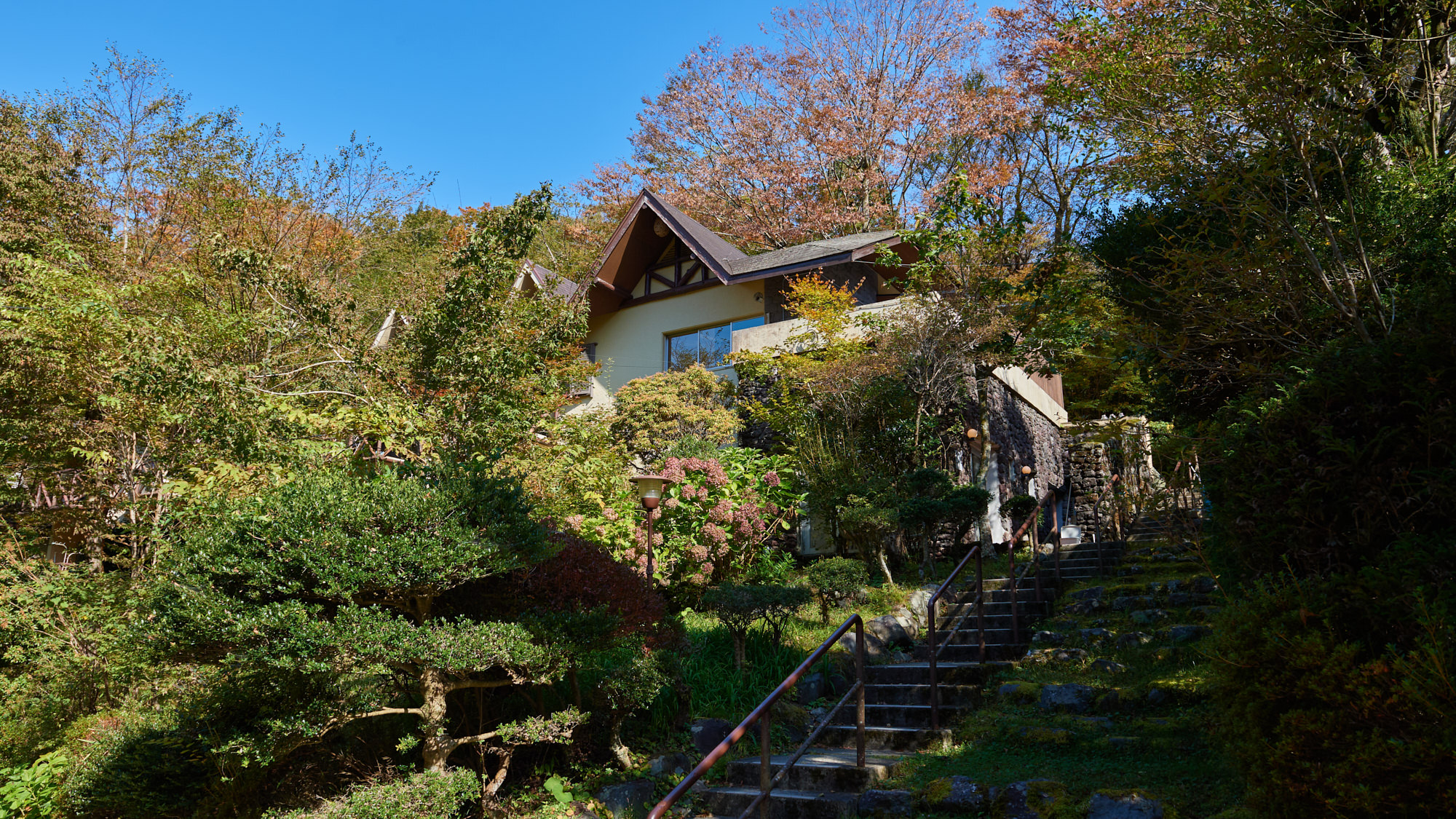 【中古】 せめて青い花のために/山と渓谷社/石原都子 碧玉 磨き原石 台付き 】 出雲石 国産 花仙山 青めのう 緑 限定
