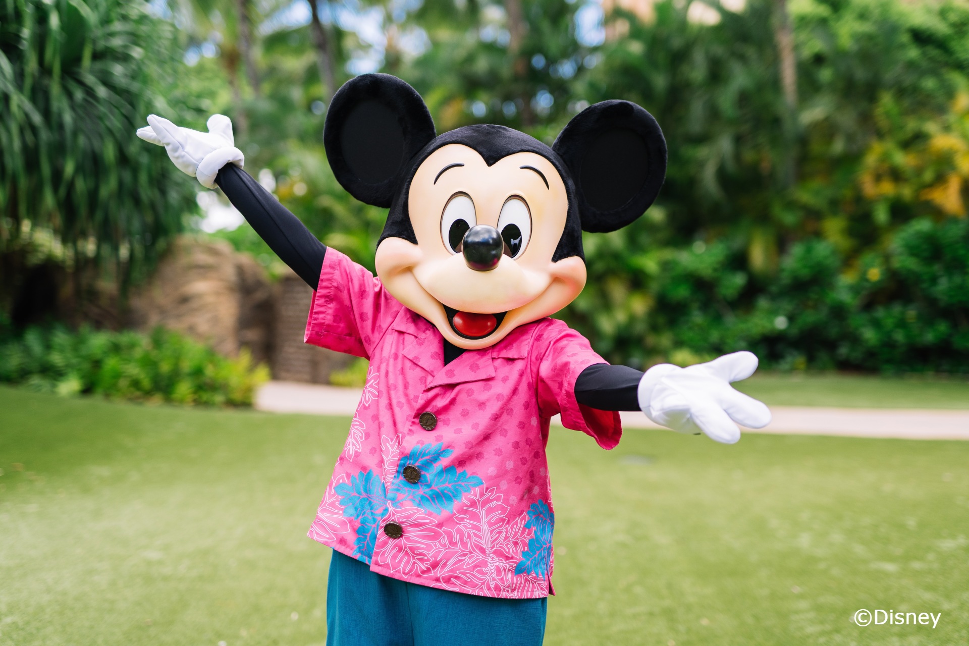 アウラニ・ディズニー・リゾート＆スパ コオリナ・ハワイ(AULANI