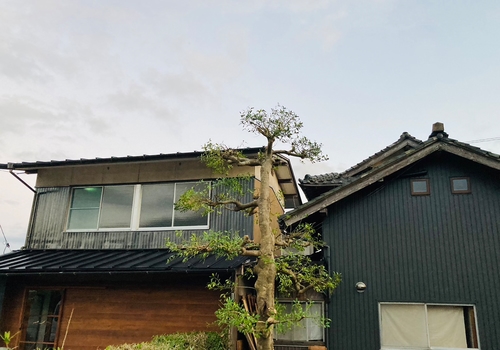 出雲 古民家の宿 MAEMORI 施設全景