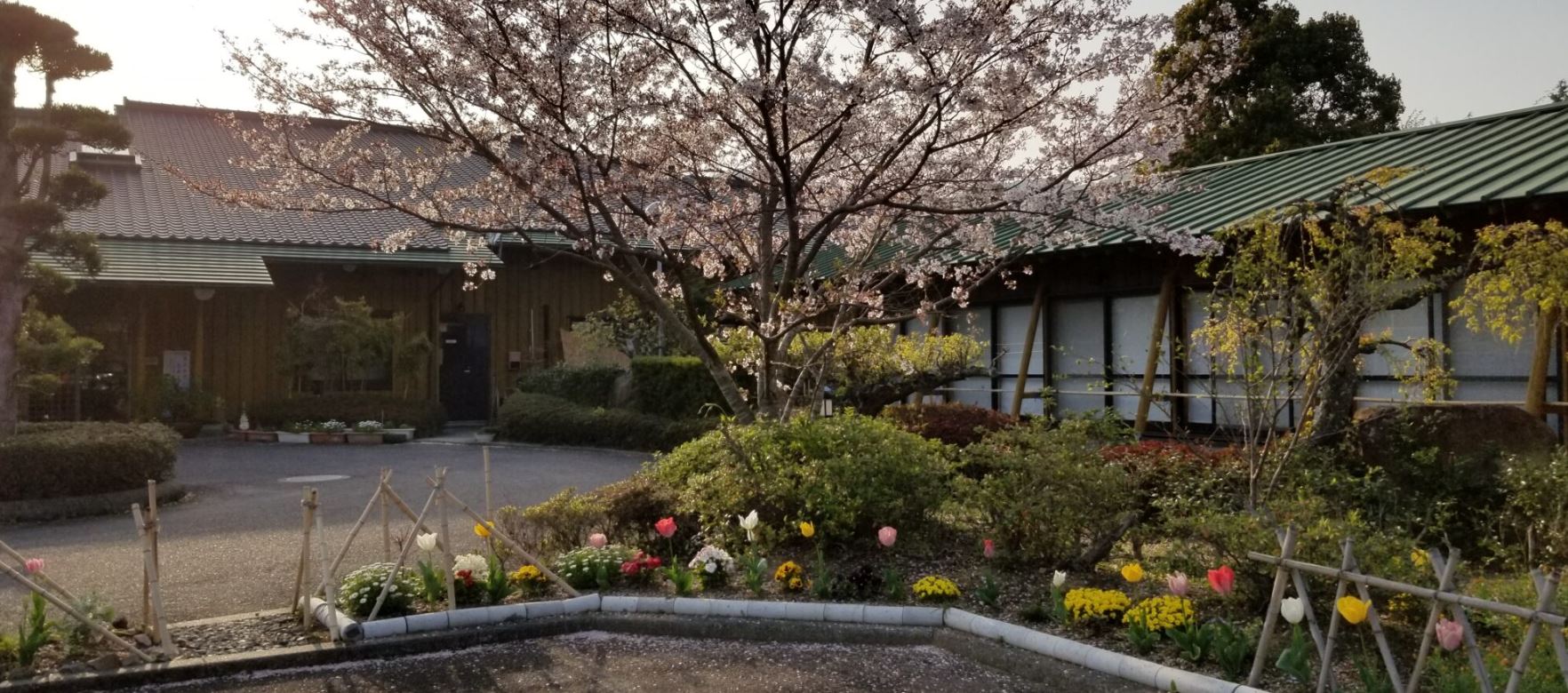 やすらぎ荘 施設全景