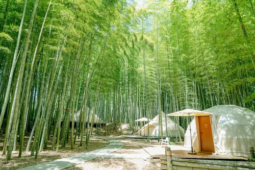 THE BAMBOO FOREST 施設全景