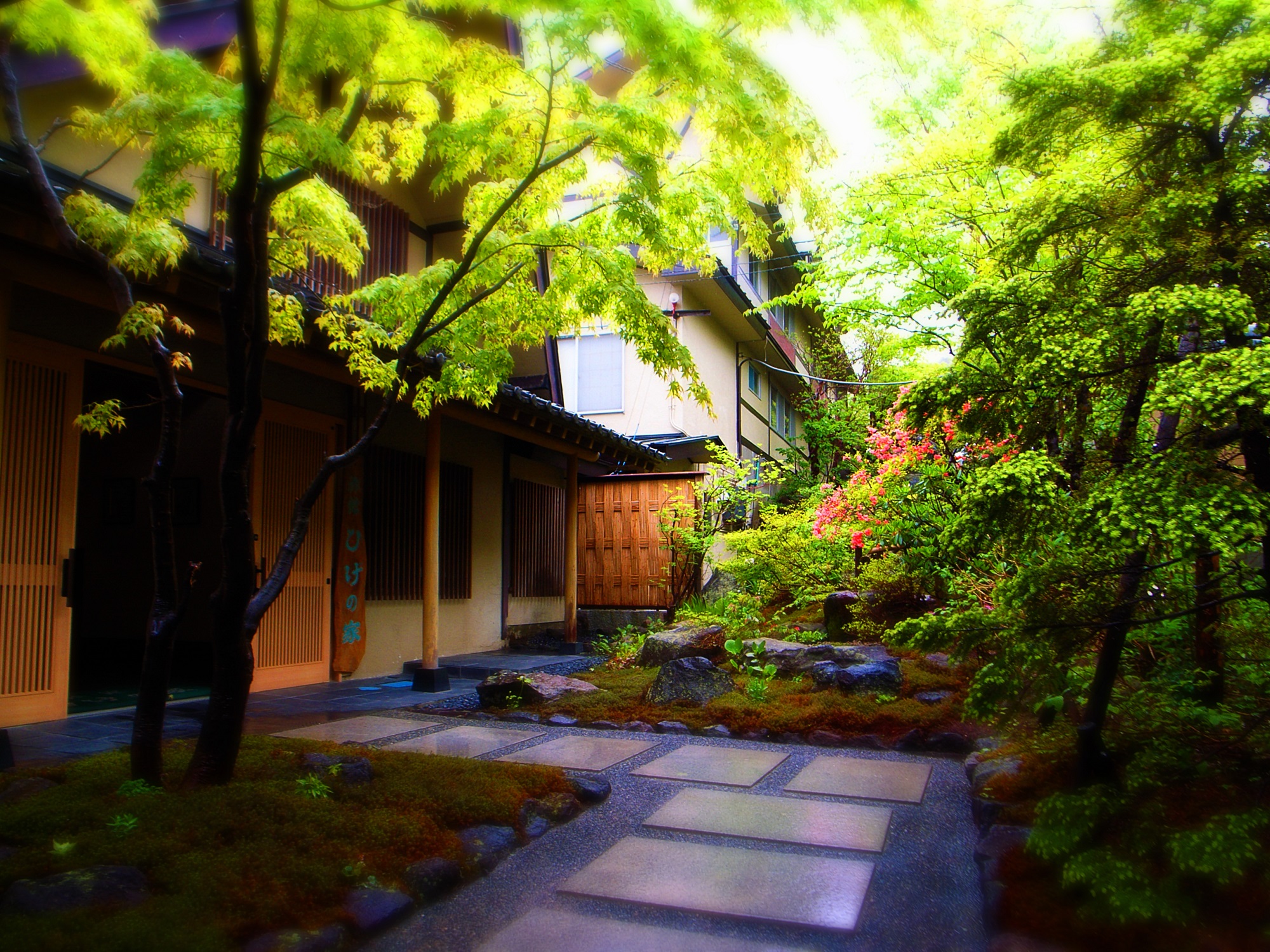 旅館ひげの家 施設全景