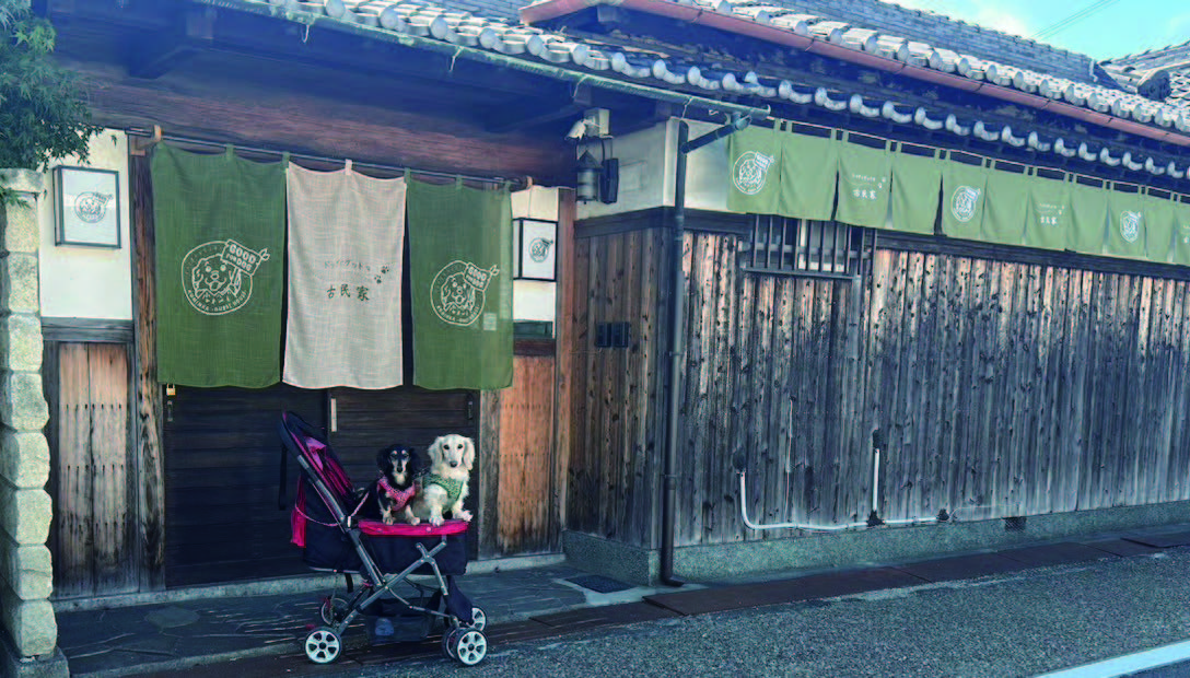 ドッグにグッドな古民家りんくう 施設全景