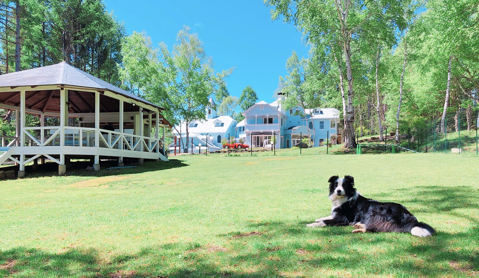 青空の扉　犬と泊まれるプチホテル&nbsp;施設全景