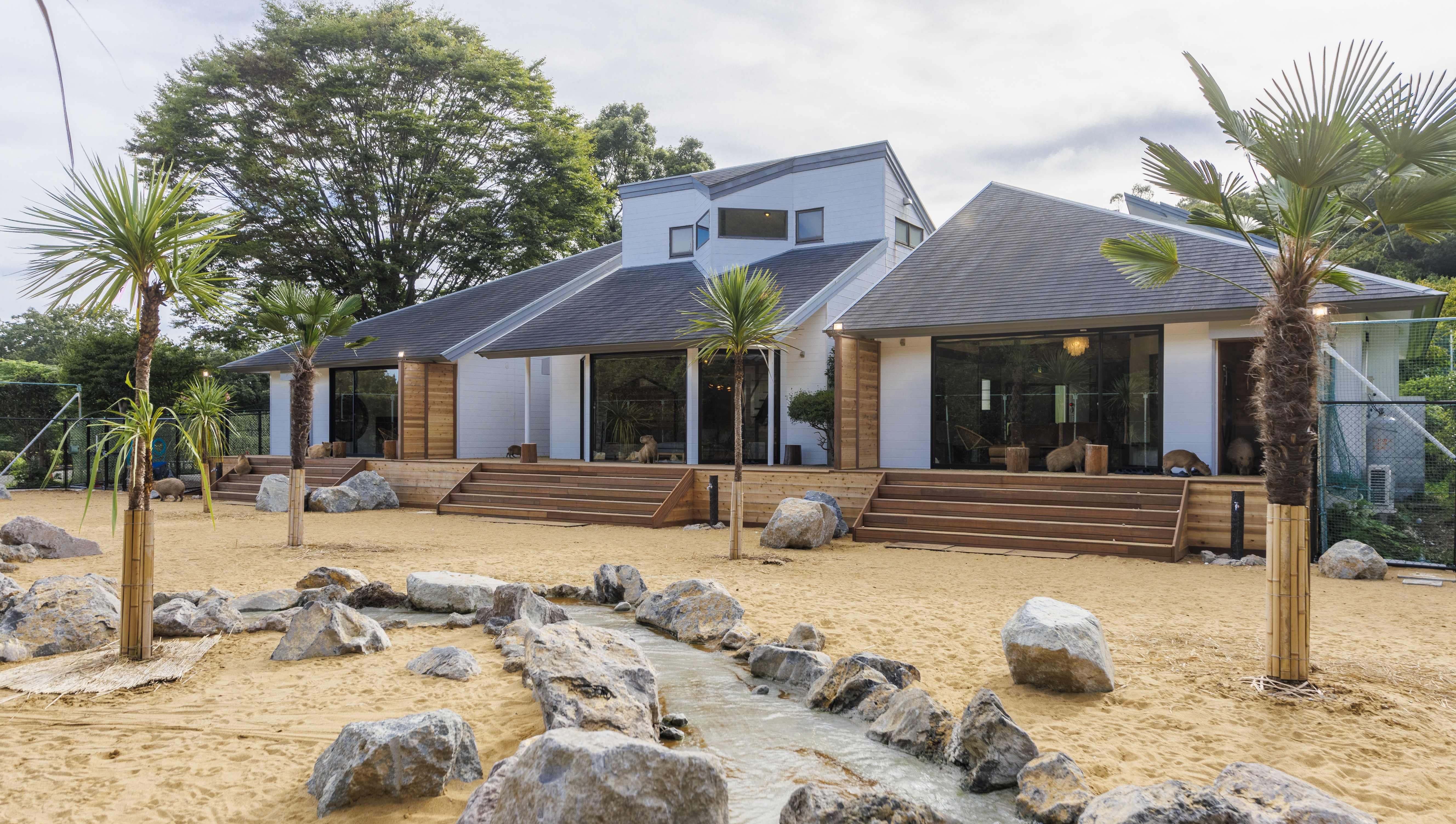 アニマルヴィラ