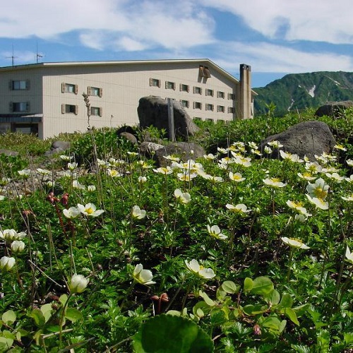 弥陀ヶ原ホテル 宿泊予約 楽天トラベル