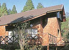 貸別荘 阿蘇乙姫ウッディハウスA 施設全景