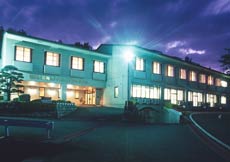 盛岡市周辺のホテル 格安予約 宿泊料金比較 検索 トラベルコ