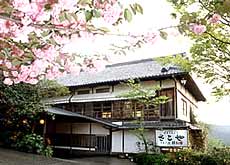 大和路吉野山 さこや クチコミ 感想 情報 楽天トラベル