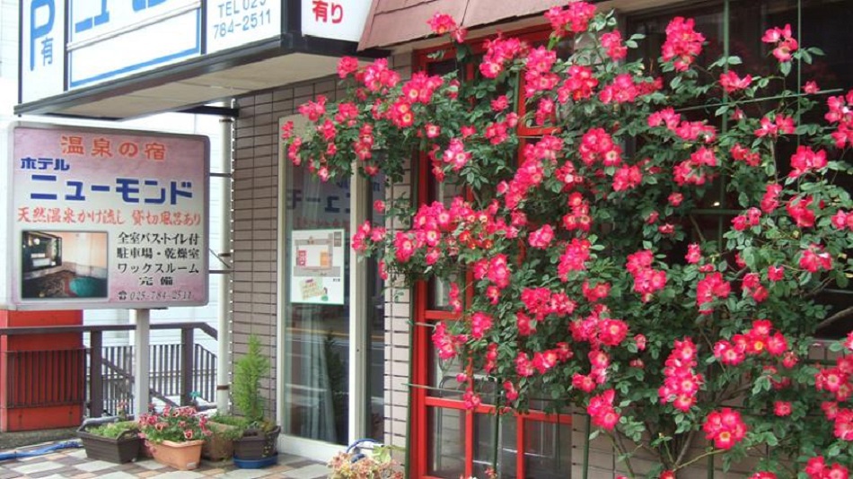 越後湯沢 ホテルニューモンド 施設全景