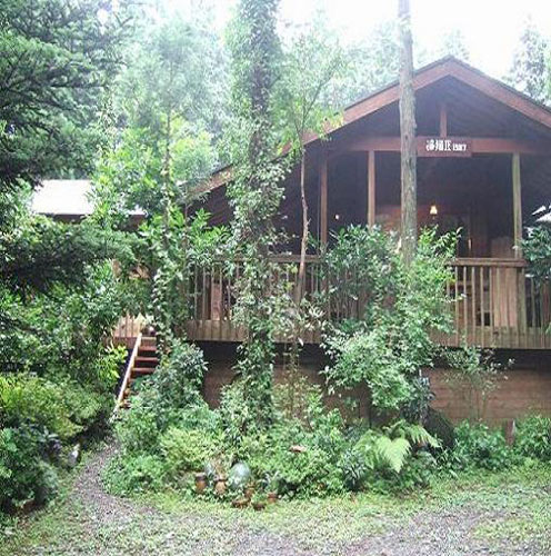 BED AND PANYA海猫屋1987 施設全景