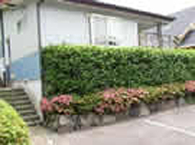 貸別荘クオーレ&nbsp;施設全景