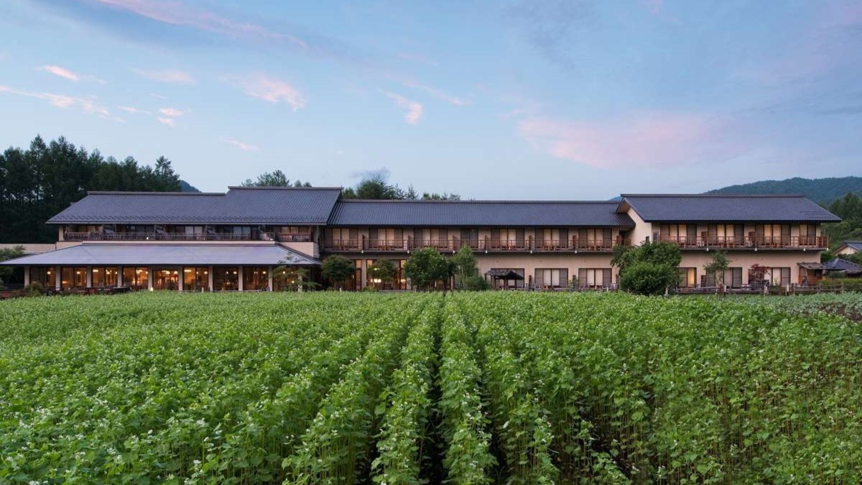 木曽御岳温泉 つたや季の宿 風里 施設全景