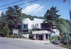 写真：武尊高原　白樺