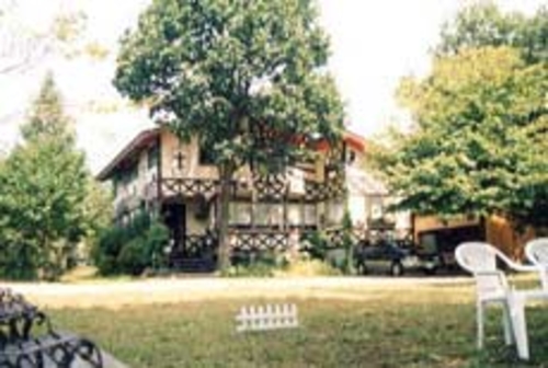 写真:ペットと泊まれる宿 ペンションこりす