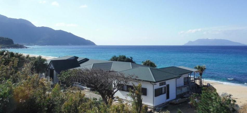 海亀がくる宿 マリンブルー屋久島 トップページ 楽天トラベル