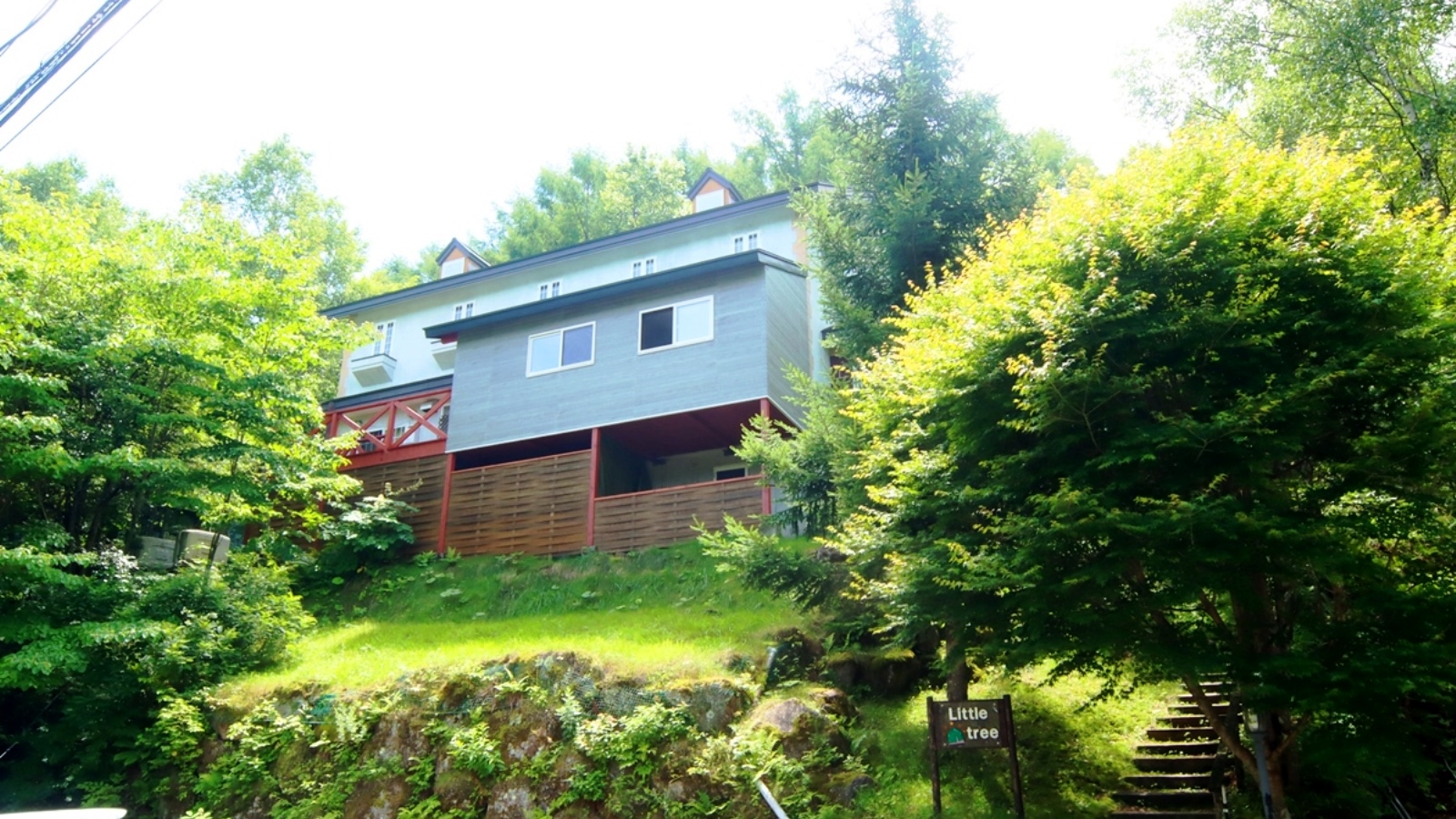 ペンション　Ｌｉｔｔｌｅ　ｔｒｅｅ&nbsp;施設全景