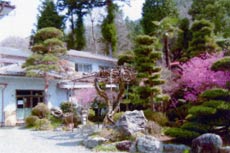 美女谷温泉 神奈川 ホテル 旅館予約 口コミ 楽天トラベル