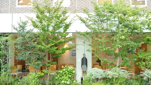 セブンデイズホテル 施設全景