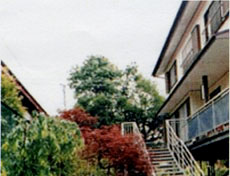 セーラー荘&nbsp;施設全景