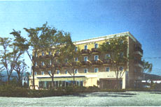 ビジネスホテルアクセス阿波&nbsp;施設全景