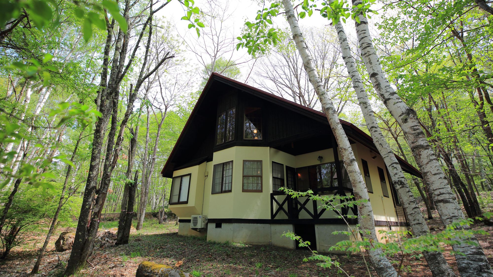 わんわんパラダイス 蓼科(旧:蓼科わんわんパラダイス コテージ) 施設全景