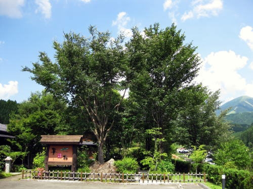 山川温泉　華柚（はなゆう）＜露天風呂付きの客室のある宿＞