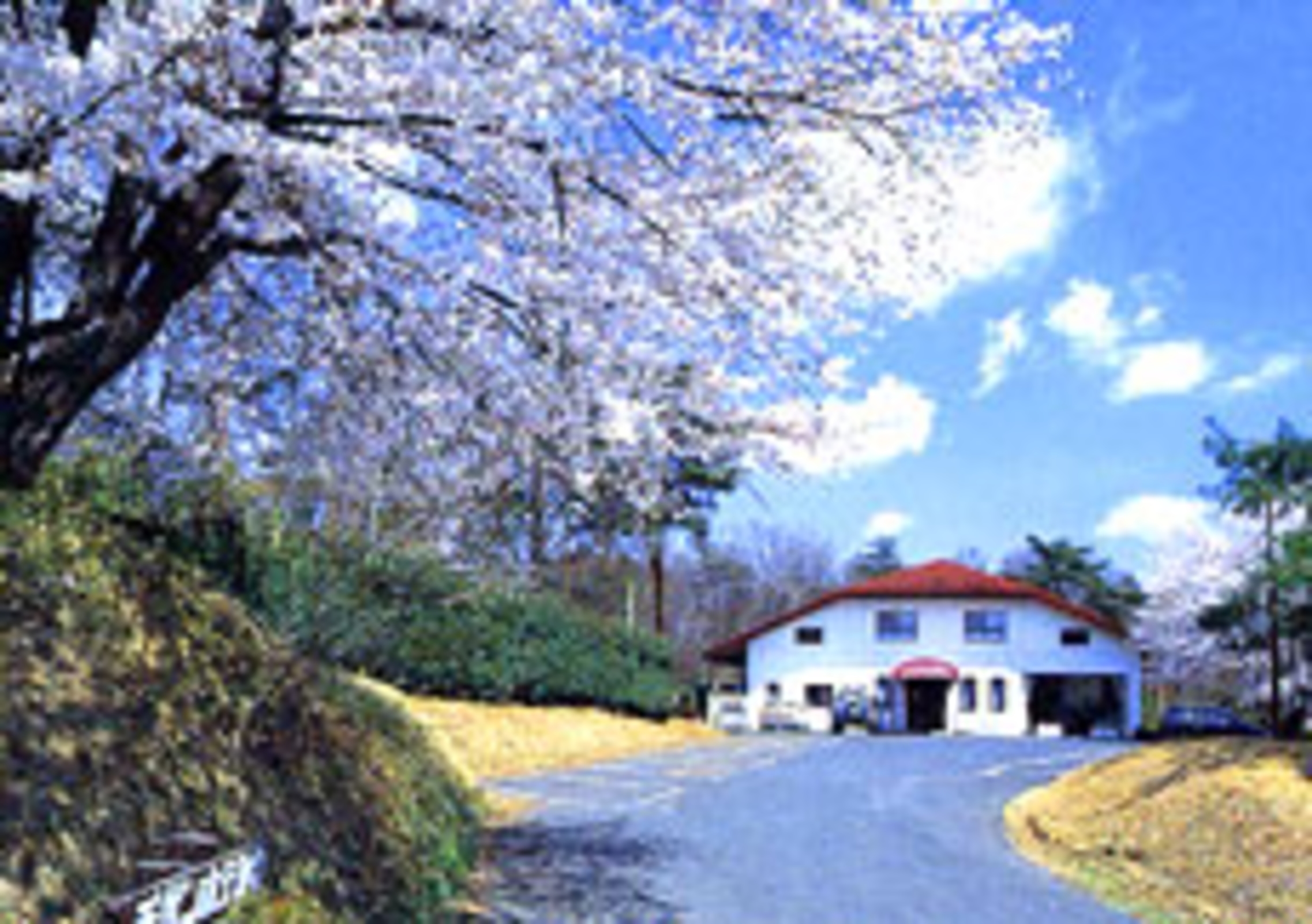 チサンホテル岡部&nbsp;施設全景