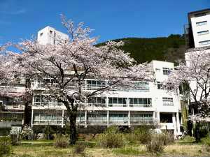 下呂温泉 旅館 瓢きん 宿泊予約 楽天トラベル