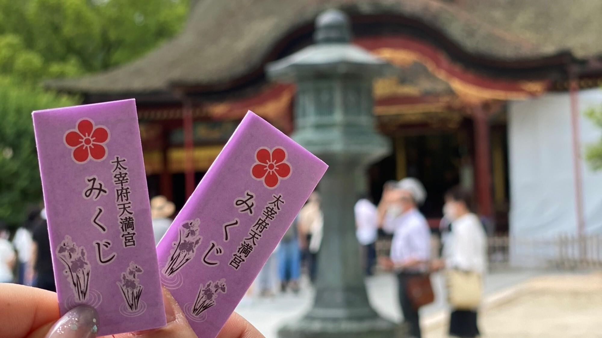 周辺観光/【太宰府天満宮】四季折々の植物をイメージした色付きみくじ…当館から車で40分・電車で47分