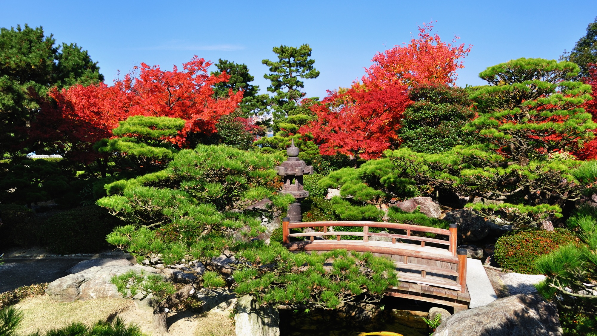 周辺観光/【大濠公園日本庭園（秋）】昭和59年に開園した築山林泉廻遊式の庭園…当館から車で14分