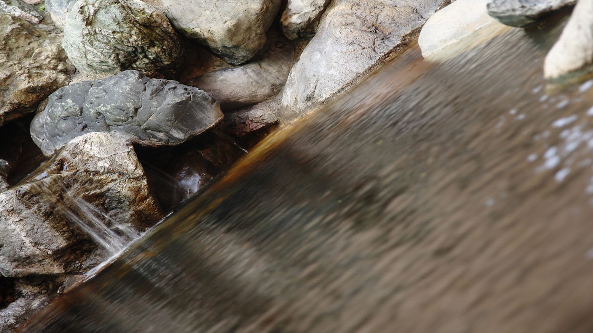 【12/31〜1/2限定】お正月は贅沢にホテルで夕食を！和食会席（19：30スタート）