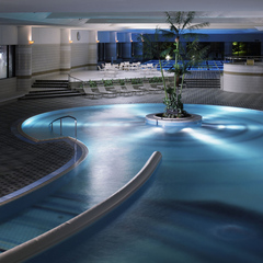 RIHGA Royal Hotel Osaka, Vignette Collection by IHG(スパ・温泉・プール)