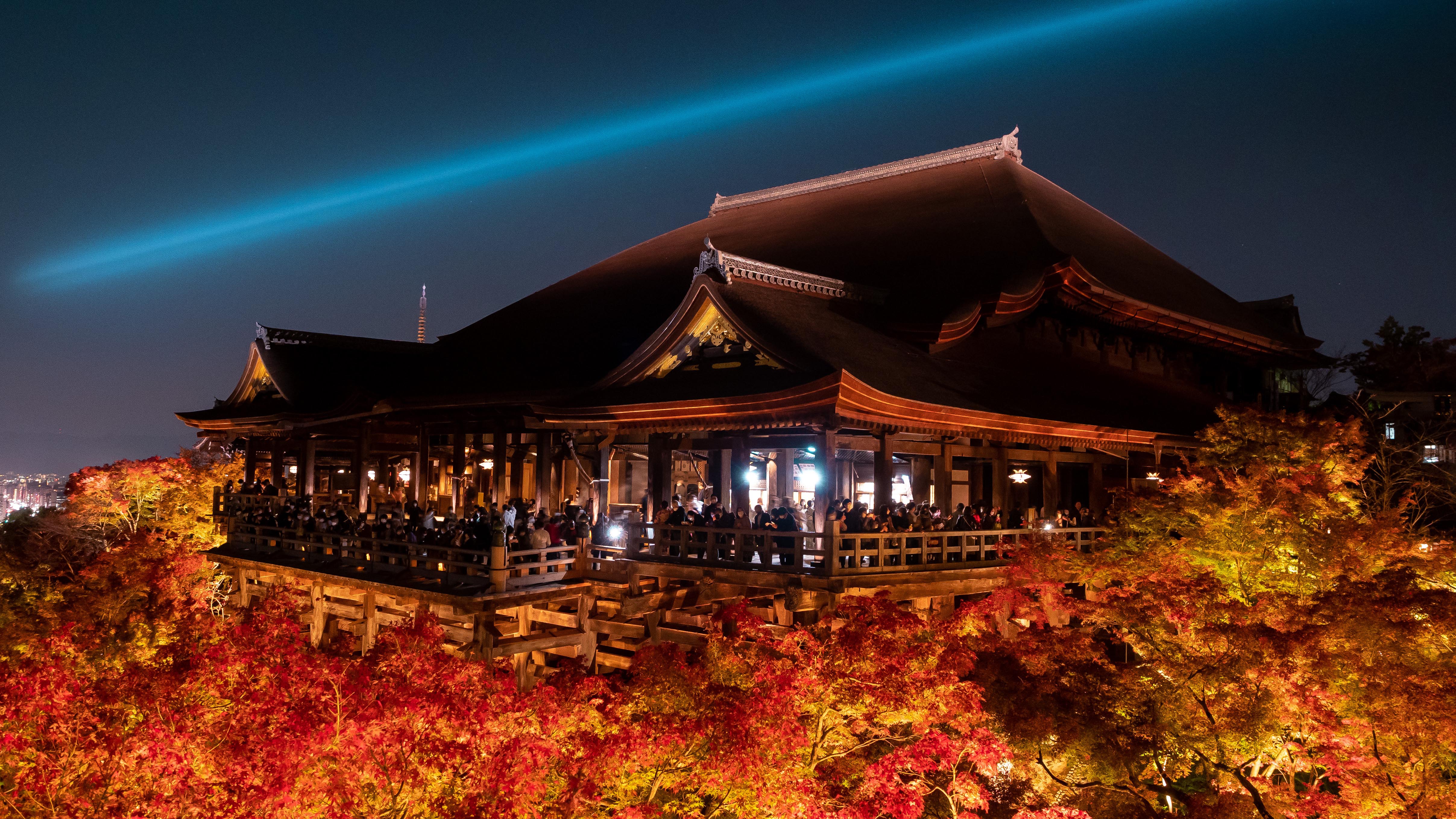 秋の清水寺（紅葉ライトアップ）