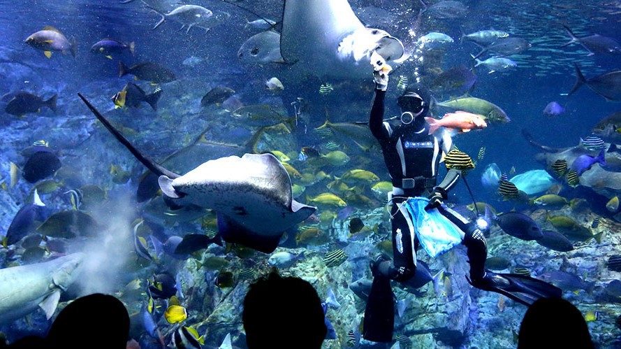 【うみたまご入館券付♪】水族館＆天然温泉で湯〜ったり♪〜朝食バイキング無料★