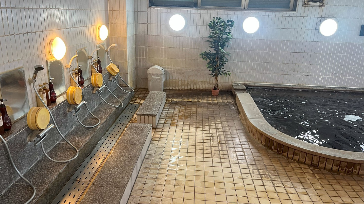 【サウナイキタイ】無料朝食バイキング と 男女別天然温泉大浴場とサウナ完備