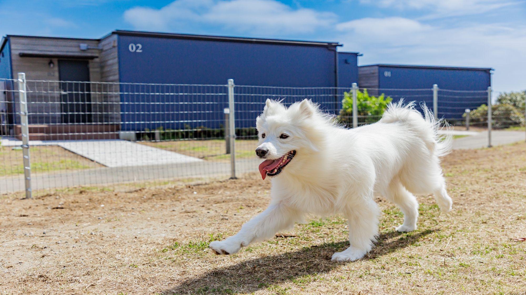 【愛犬と一緒にご宿泊！】海と大地の恵みを堪能できる、約70種の和洋ビュッフェが楽しめる2食付きプラン