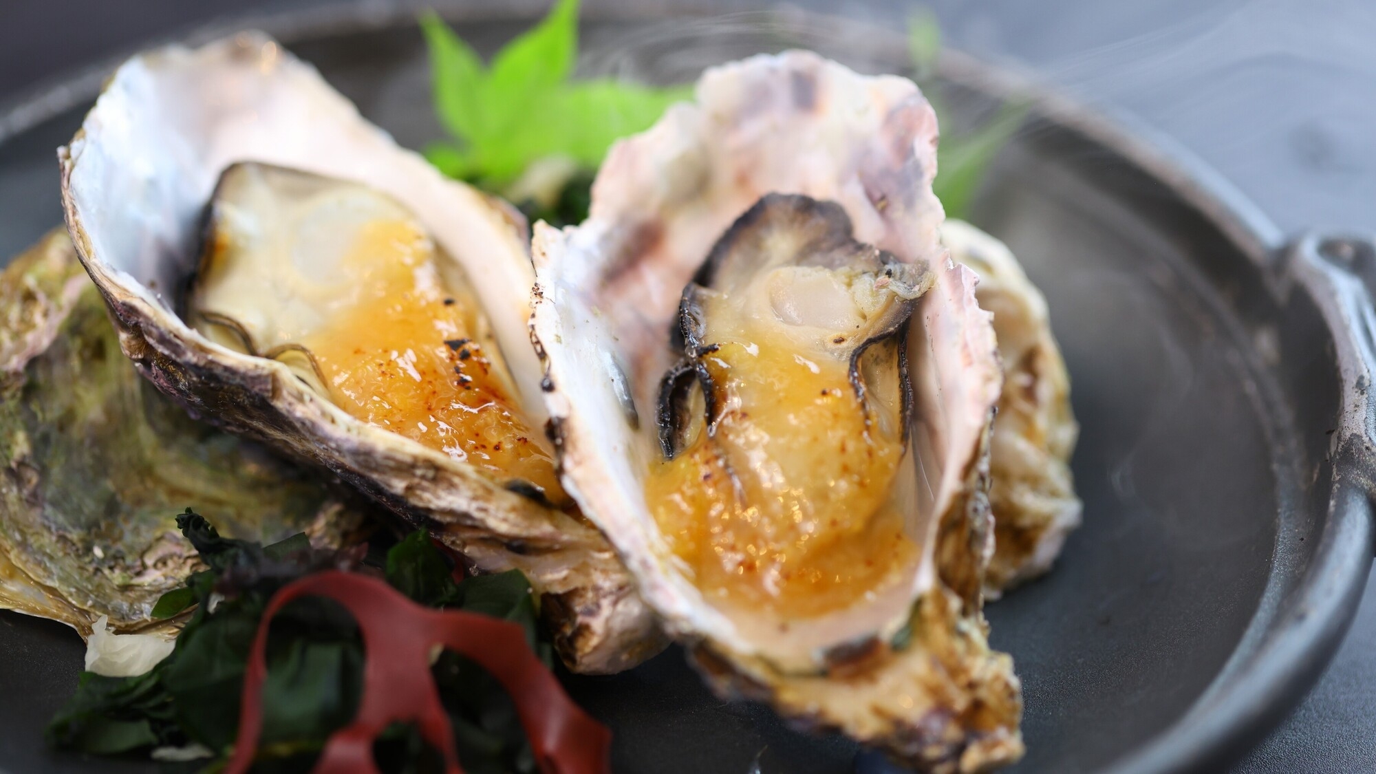 ＜早割28＞【季節の会席】季節ごとの旬の味覚をお楽しみいただけるおすすめプラン【さき楽】