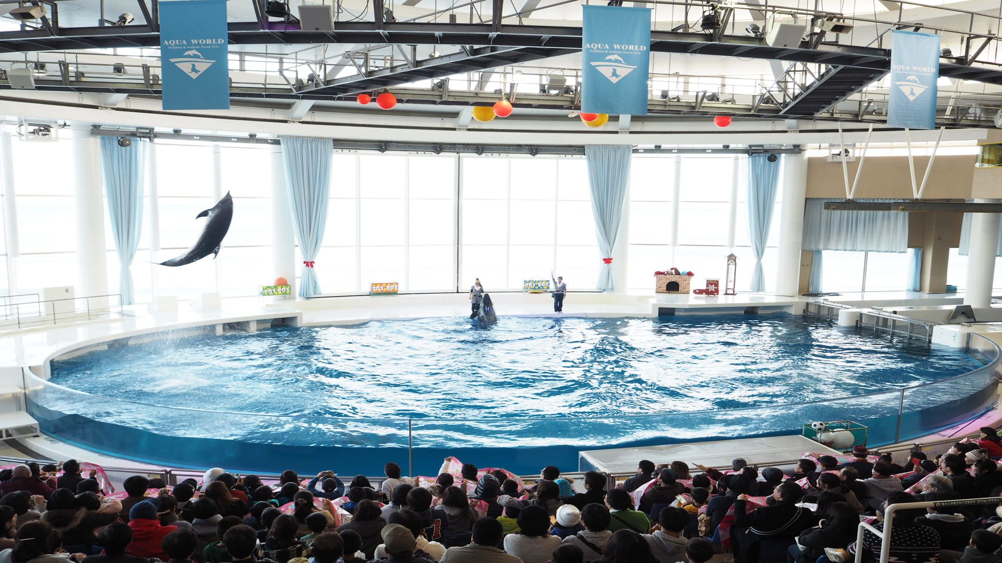 【大洗水族館／オーシャンシアター】