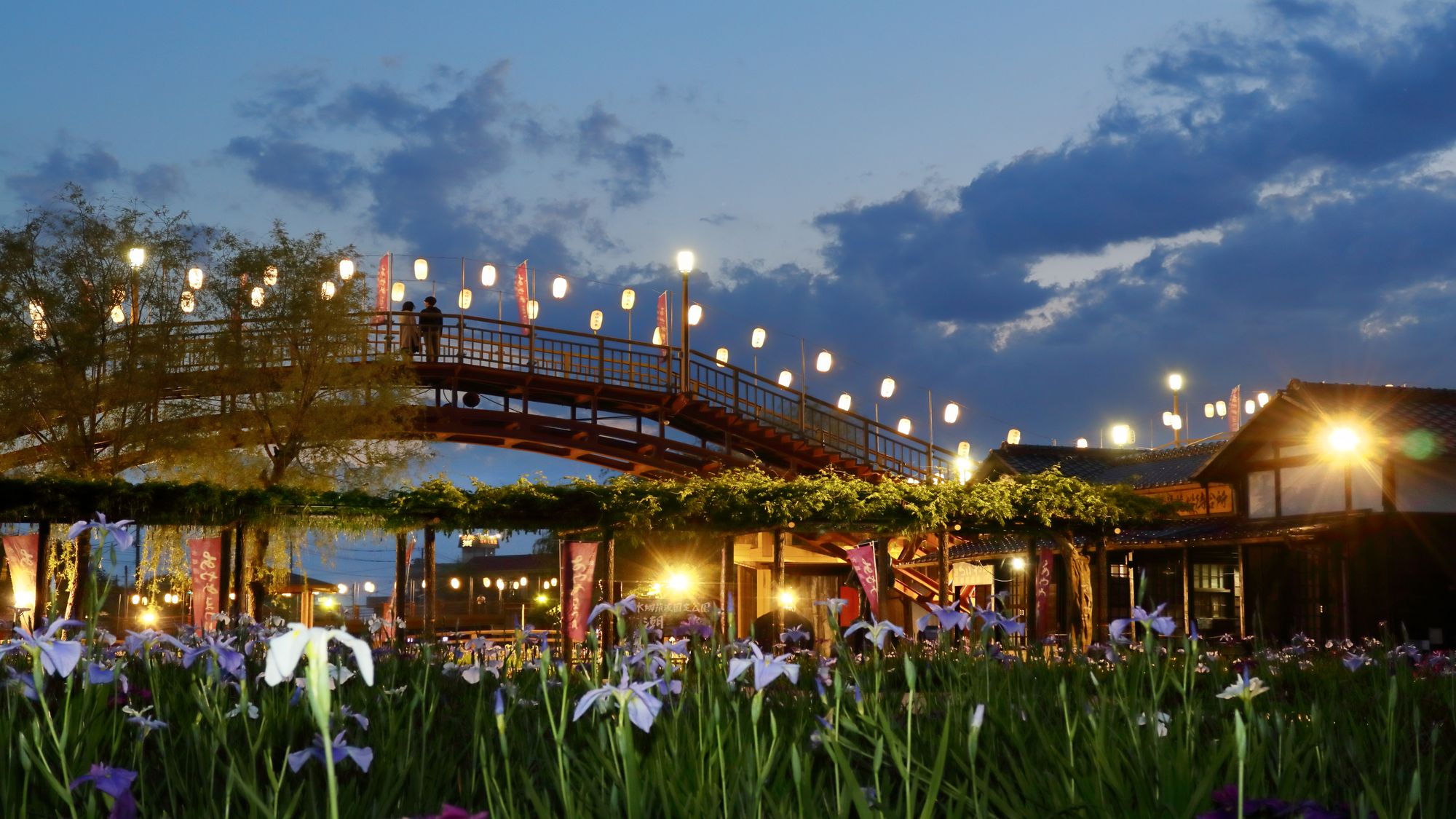 【水郷潮来あやめまつり】ライトアップ