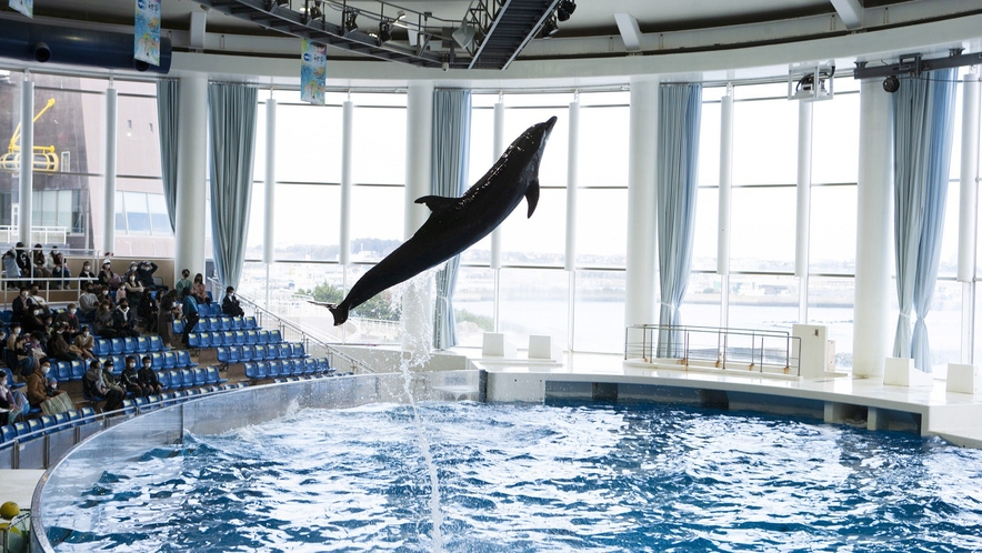 【周辺観光】アクアワールド茨城県大洗水族館