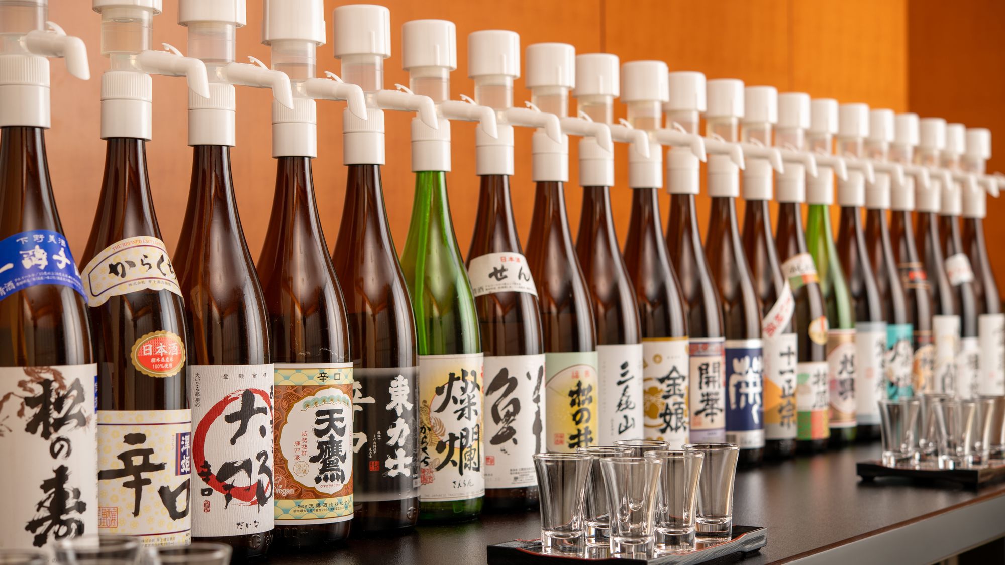 【飲み放題付き！】A5ランクとちぎ和牛など旬の食材を彩り豊かに仕上げた会席【土地の恵み会席】