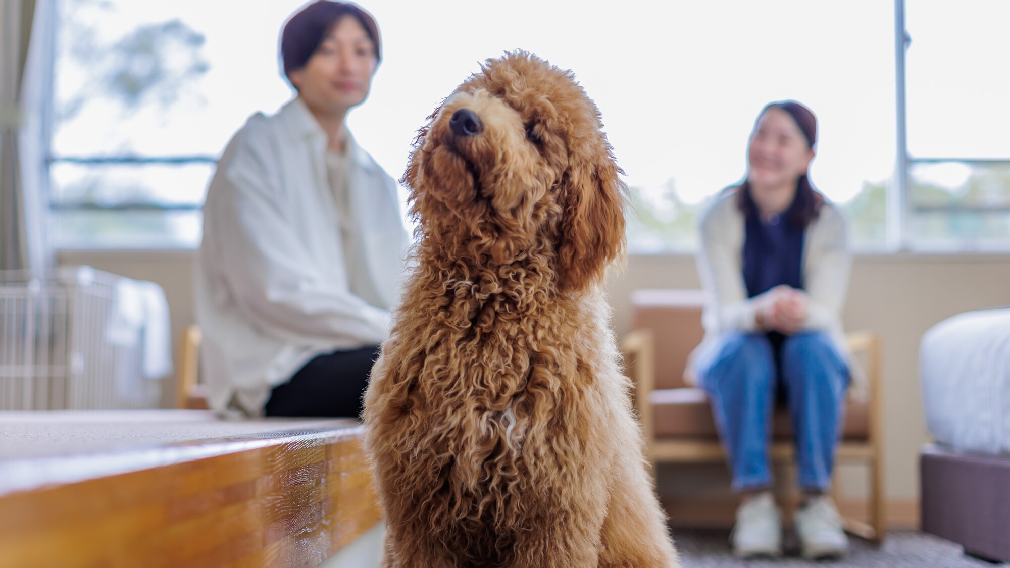 【愛犬と一緒にご宿泊】特別会席に土鍋ご飯をプラスした会席！ 1日限定10名様『極み会席』