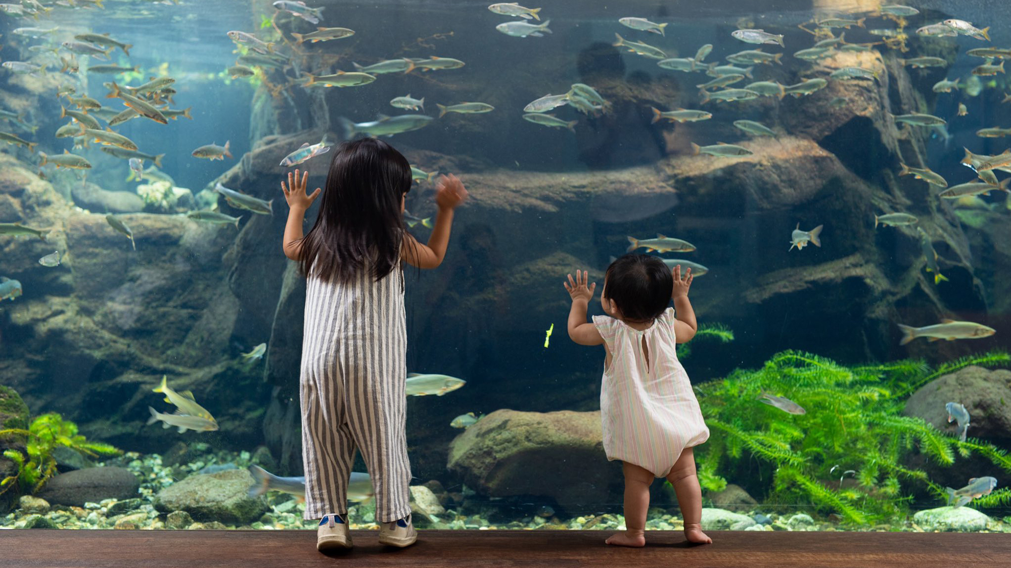 【近隣観光地】栃木県なかがわ水遊園